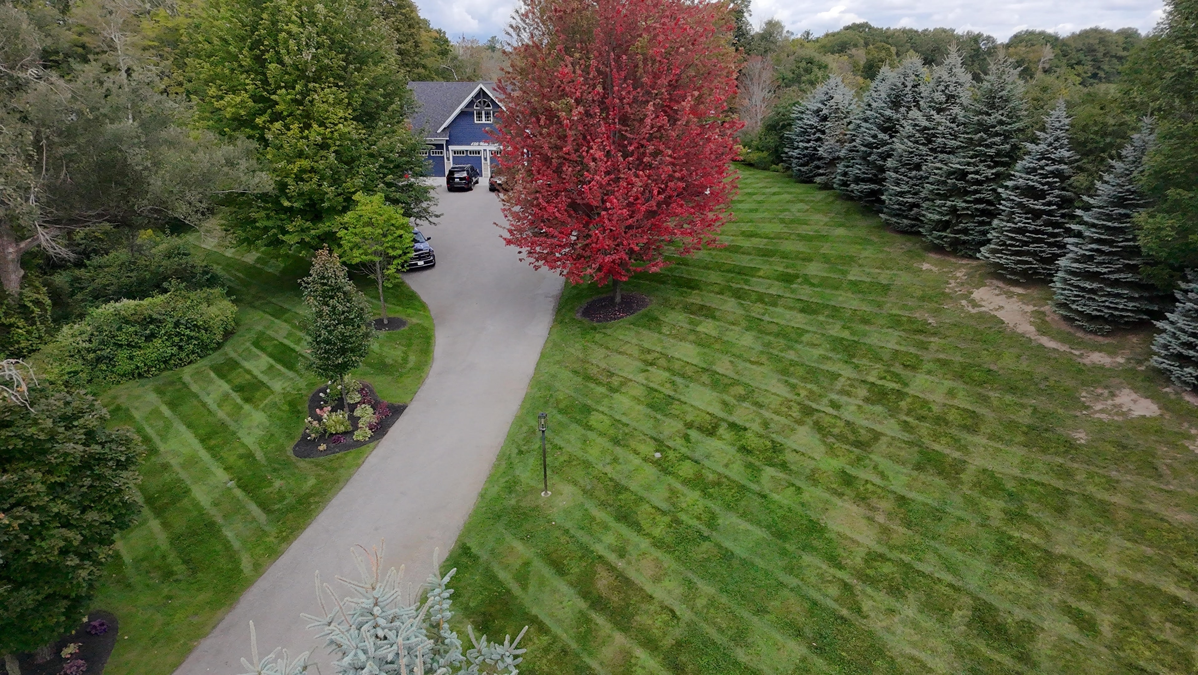 Residential front yard with landscaping
