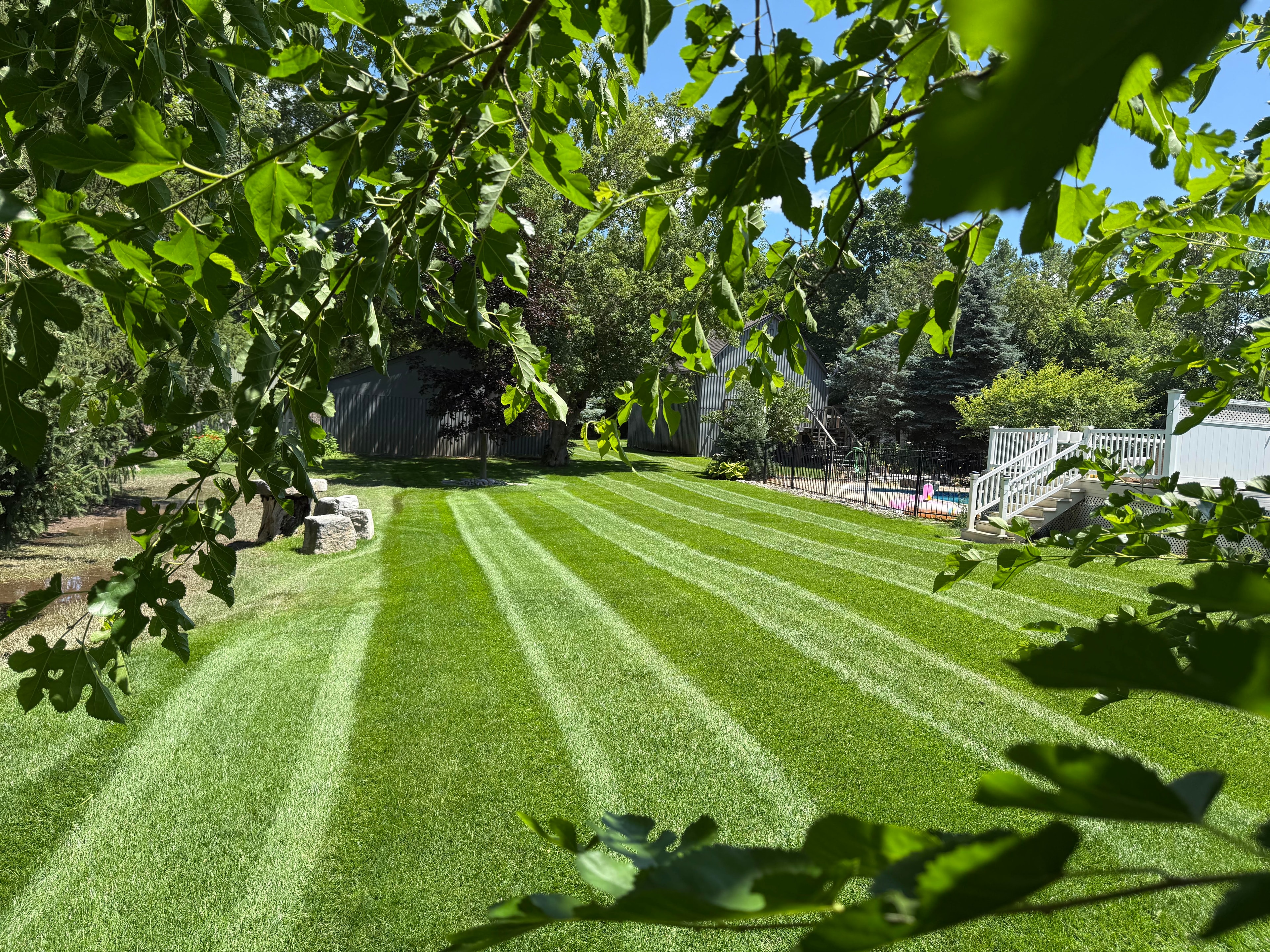 Garden bed with mulch and neat edging