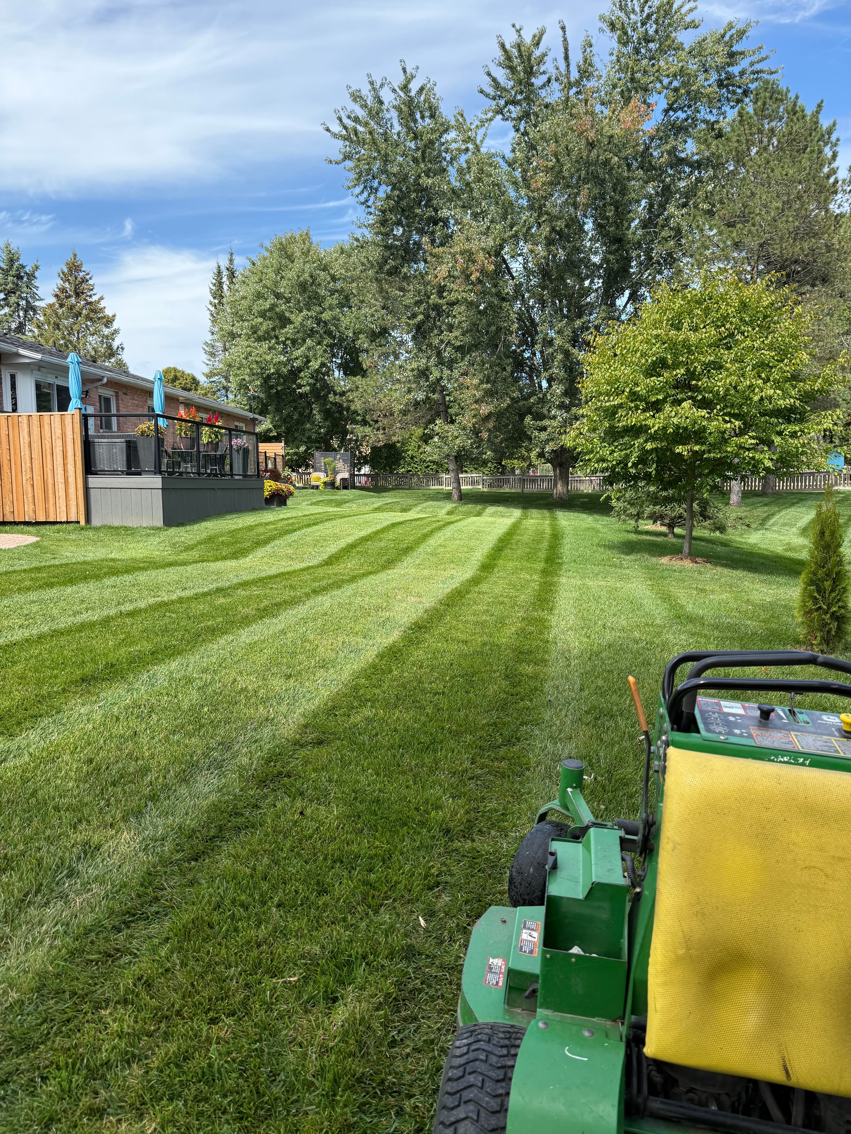 Lawn mower cutting green grass